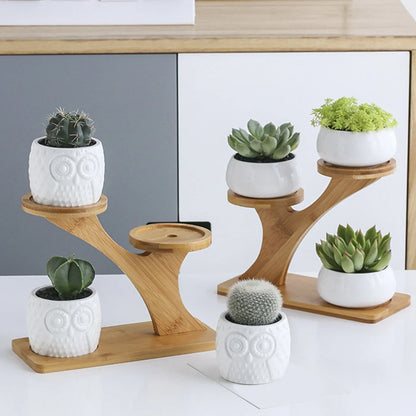 Wood Shelving Bamboo Plant Stands