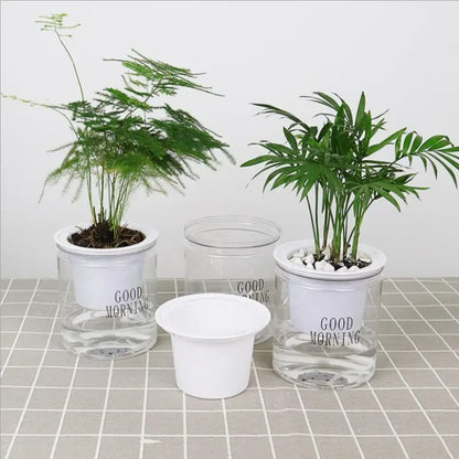 Self-watering Hydroponic Flower Pot