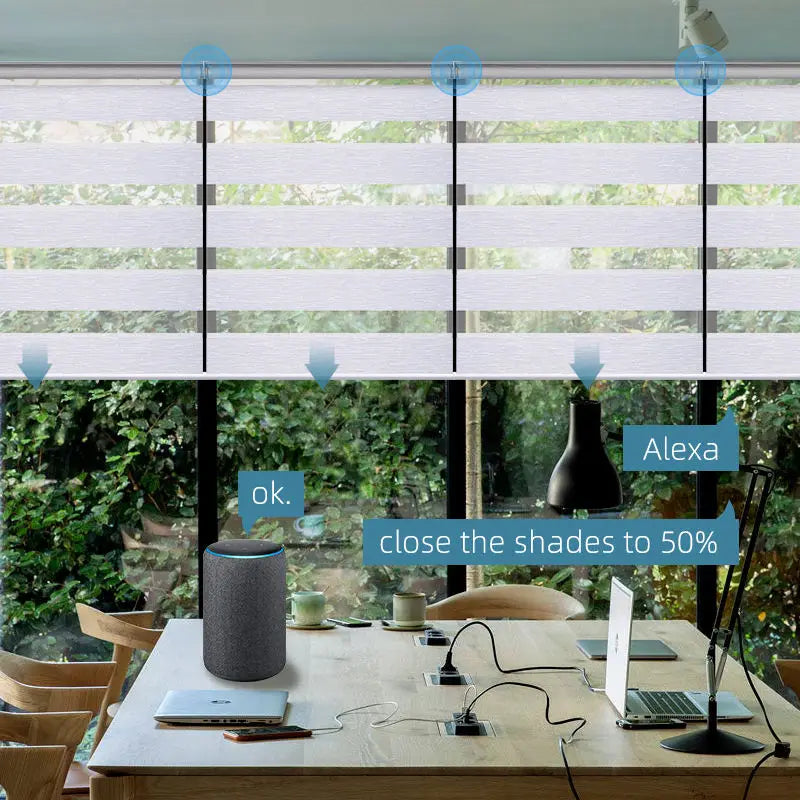 Dual Layer Blackout Smart Blinds