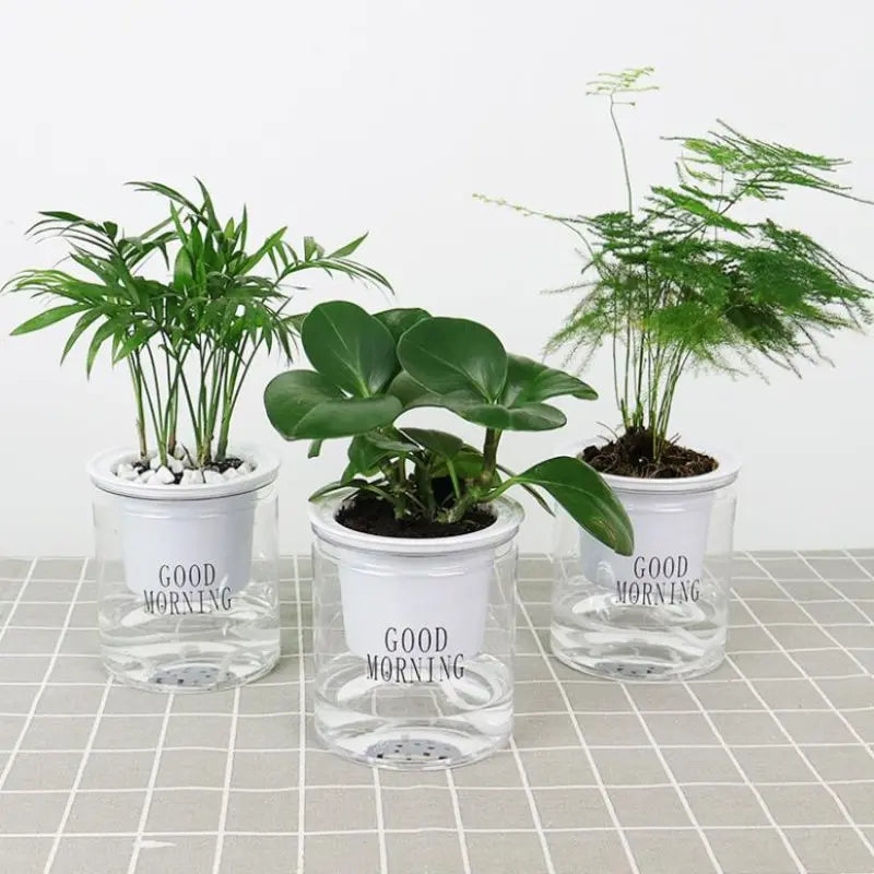 Self-watering Hydroponic Flower Pot